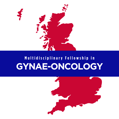 Multidisciplinary Fellowship In Gynae-oncology - Esor - European School 